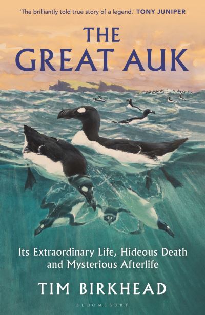 The great auk