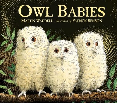 Chapel Allerton: Owl Babies