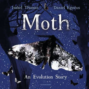 Cononley Primary: Moth