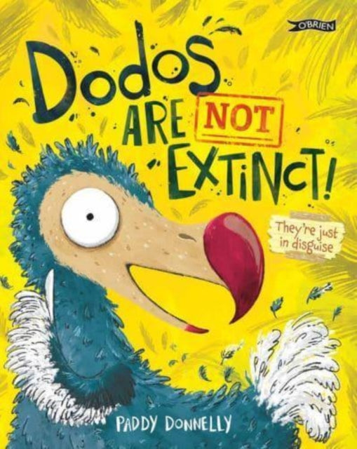 Chapel Allerton: Dodos Are Not Extinct