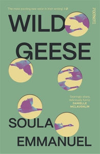 Wild geese