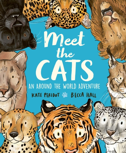 Chapel Allerton: Meet the Cats