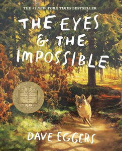 The eyes and the impossible