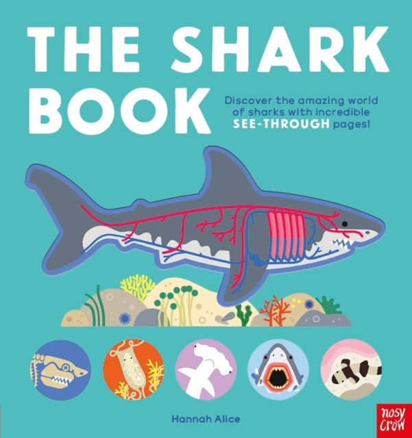 Chapel Allerton: The Shark Book