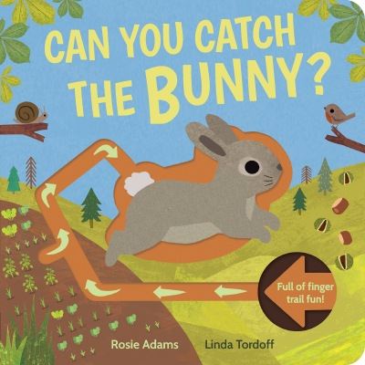 Can you catch the bunny?